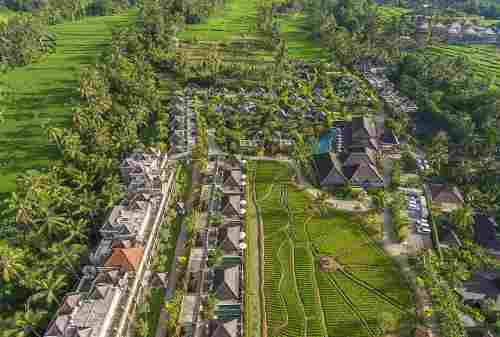 When Heaven and Earth Coexist in Ubud 04