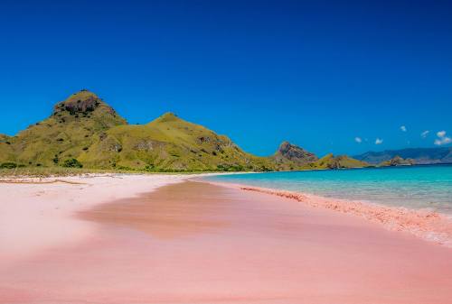 Komodo Island, The Other Side Of Paradise In Flores 04 - Finansialku