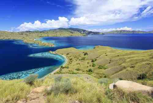 Komodo Island, The Other Side Of Paradise In Flores 07 - Finansialku