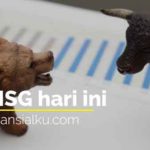 IHSG Hari Ini 24 Juni 2020 Dibuka Menguat di 4.897,133