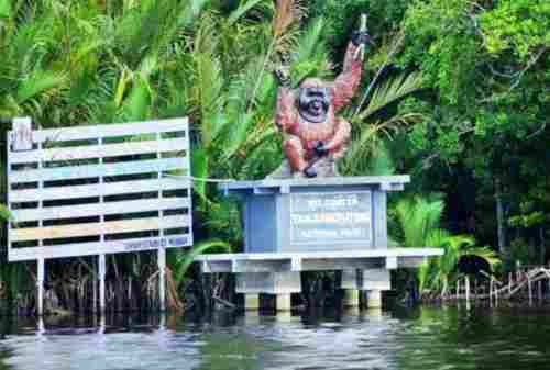 6 Best Activities To Do In The Home Of The Largest Orangutan Population On Earth, Tanjung Puting 01 - Finansialku