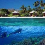 Amazing 8 Attractions To Visit In Wakatobi Island, Divers’ Paradise