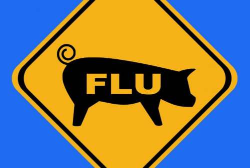 Gawat! Belum Beres Pandemi, Virus Flu Baru Ditemukan di China