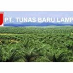 TBLA Ubah Klasifikasi Industri Ke Consumer Goods, Kenapa?