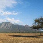 Baluran National Park, The Exotic Wildlife Of East Java Island