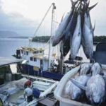 Duh, China Larang Impor Seafood RI Karena Mengandung Corona