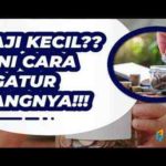 Wajib Baca! Gini Cara Kelola Uang Untuk Gaji Kecil