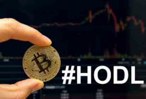 Definisi HODL Adalah