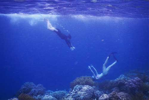 Save Your Trip! Liburan Terbaik di Pulau Wakatobi 02 - Finansialku