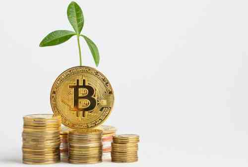 Apakah Investasi Bitcoin Cocok untuk Mengejar Kebebasan Keuangan?