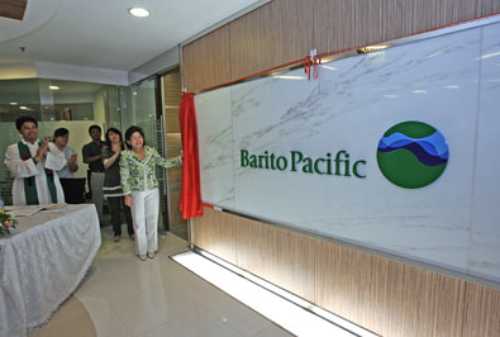 Prospek Bisnis Petrokimia PT Barito Pacific Tbk (BRPT) 03