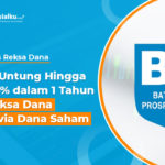 Untung Hingga 18,84% di Reksa Dana Batavia Dana Saham