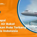 Maskapai Pelita Air Bakal Gantikan Rute Terbang Garuda Indonesia