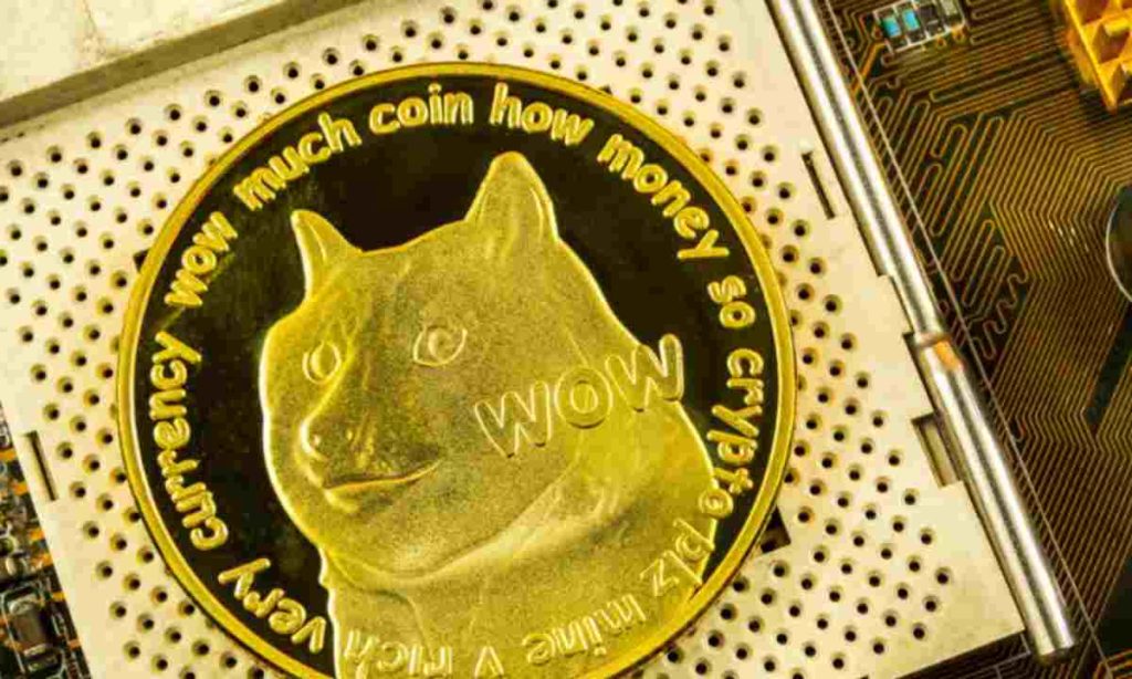 Mudah dan Cepat, Begini Cara Beli Dogecoin