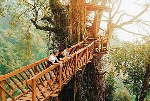 Wisata Bogor - 2 Rumah Pohon & Jembatan Kayu Gantung Curug Ciherang Jonggol - Finansialku