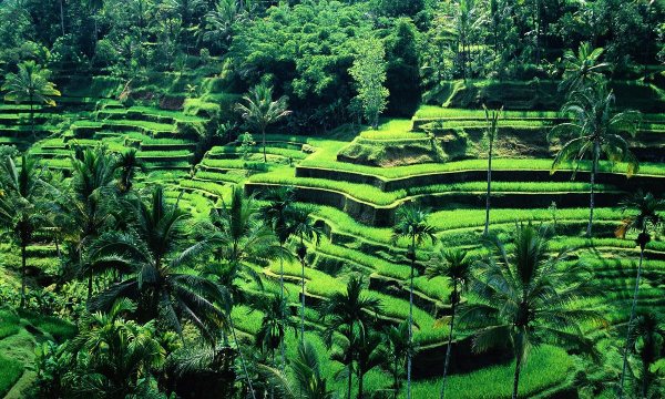 Rekomendasi Berlibur, ini 10 Desa Wisata Terbaik di Indonesia! 02 - Finansialku