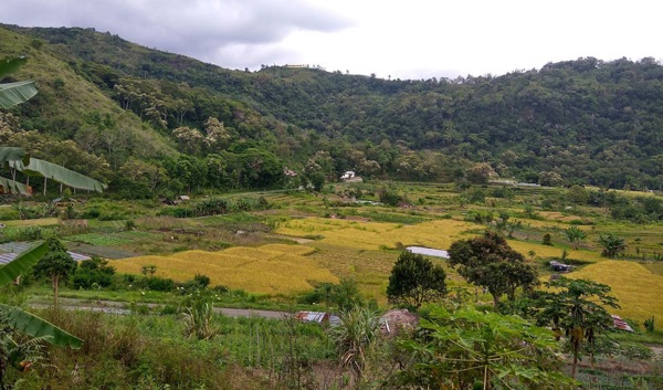 Rekomendasi Berlibur, ini 10 Desa Wisata Terbaik di Indonesia! 09 - Finansialku